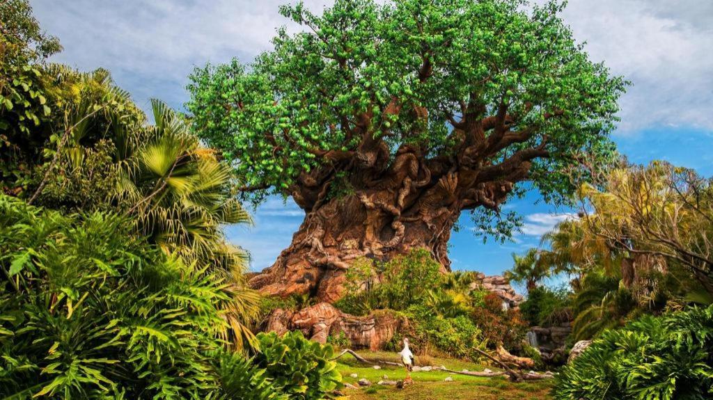 Disney'S Animal Kingdom Lodge Four Corners Bagian luar foto