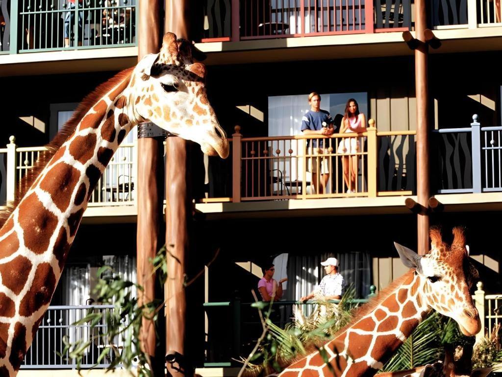 Disney'S Animal Kingdom Lodge Four Corners Bagian luar foto