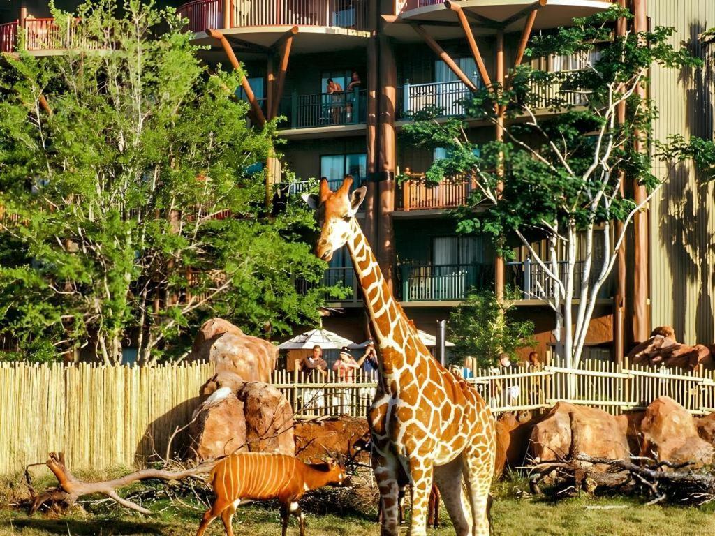 Disney'S Animal Kingdom Lodge Four Corners Bagian luar foto