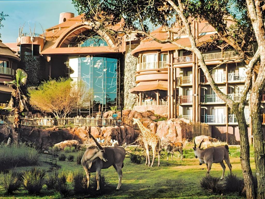 Disney'S Animal Kingdom Lodge Four Corners Bagian luar foto
