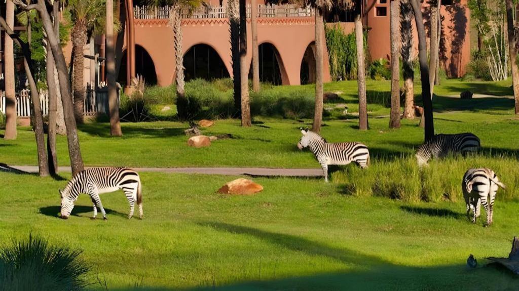 Disney'S Animal Kingdom Lodge Four Corners Bagian luar foto